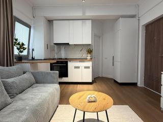 Modern Apartment 5 min Metro Near Victoriei - 6