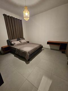 Luxury 2 bedroom apartment in the centre of Curepipe - 8