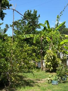 La Casita - 7
