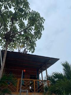 Swell house - 2