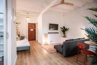 44POC1062 - Studio newly decorated in Poble Sec - 2