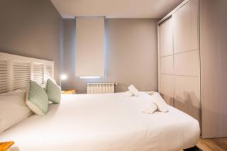 22MAL1074- 2BR and 2BH near sagrada Familia - 2