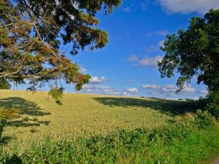 4 star holiday home in Hejls - 4
