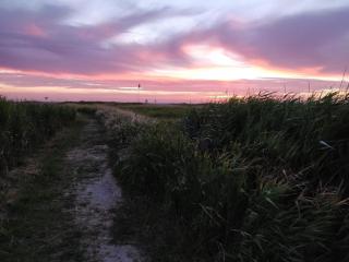 5 star holiday home in Bagenkop - 4