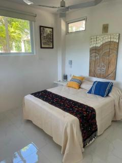 Valentina Salchi suites virgin beaches internet - Cuatunalco - 9