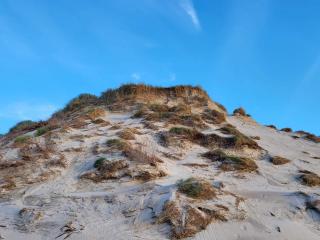 5 person holiday home in Hvide Sande - 3