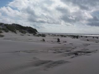 5 star holiday home in Vejers Strand - 2