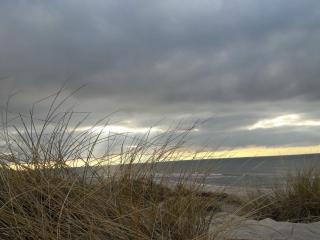 Bright Summerhouse near Sea - By Traum Ferienwohnungen - 2