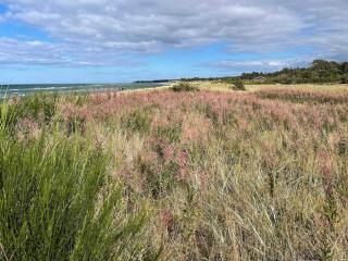 8 person holiday home in Glesborg-By Traum - Glesborg - 1