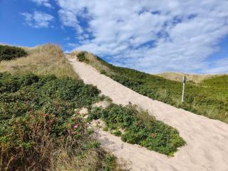 6 person holiday home in Ringkøbing-By Traum - 5