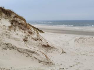 4 person holiday home in Blåvand - 3