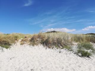 Bright Beach House - By Traum Ferienwohnungen - 8