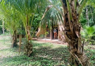 Coco Hause - 7