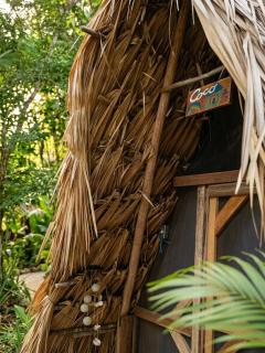 Coco Hause - 2