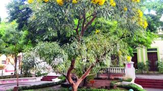 Casa La India - Encanto colonial, 2 habs, 4 pers con ubicación perfecta - 0