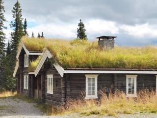 4 star holiday home in Fåvang - 1