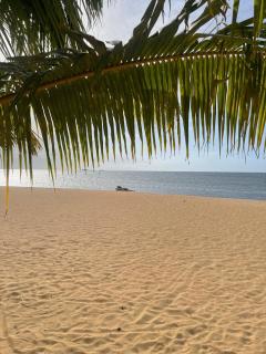Beachfront Paradise at Palmerai - 4