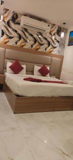 Hotel Janak Palace By D'Capitol - 2