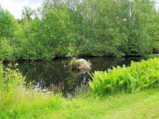 5 person holiday home in Tingsryd - 1