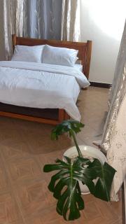 illa homes - 8