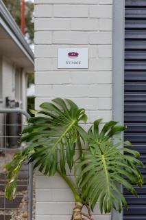 Ivy Nook - Super Cute Converted Garage - 7