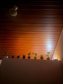 Nature stay - 8