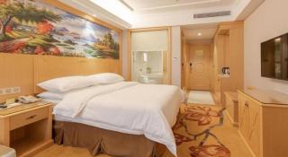 Vienna Hotel Hangzhou West Lake Qingchun Road - 4