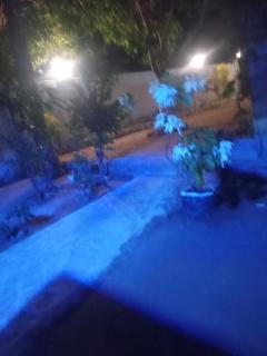 Surf seed villa - 6