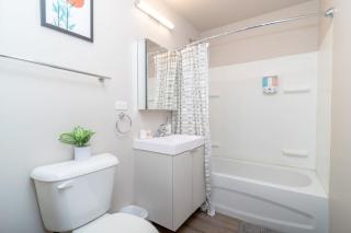 Modern 2BR South Loop Gem Near McCormick Place, Navy Pier, Adler Planetarium & Columbia College - 4