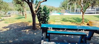 Skines Orange Villa with private pool - 6