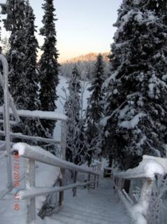 Porokaarre 15 - Cozy Log Apt Near Ski Trails & Lake - 5