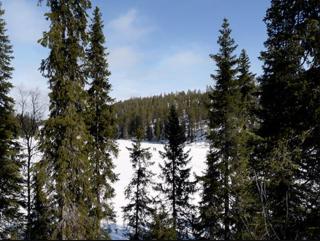 Porokaarre 15 - Cozy Log Apt Near Ski Trails & Lake - 6