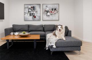 Family & Pet-Friendly Luxury Near Hastings St - 3
