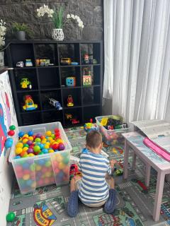 Vila Ursul Negru - 5