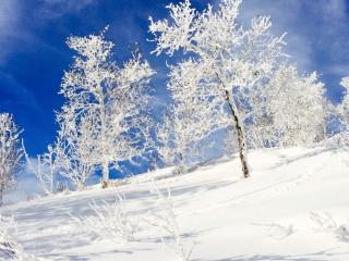 4 person holiday home in GEILO-By Traum - 3