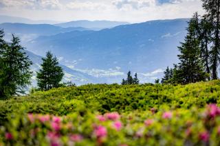 Kreischberg Suites by ALPS RESORTS - 1