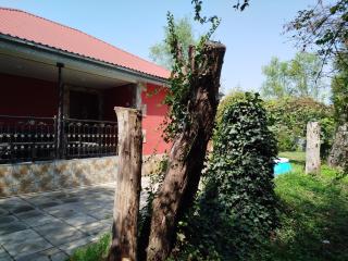 Seaside Garden - 8