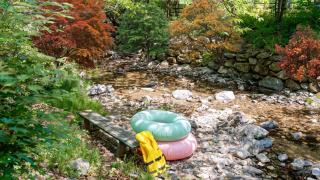 Gapyeong Pine4rest Glamping - 9