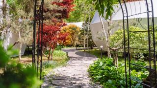 Gapyeong Pine4rest Glamping - 3