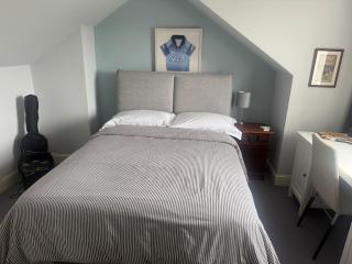 Entire Home - 5 Bedroom Luxury Home in Dublin 6 - 3