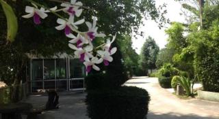 River Park Resort - 8