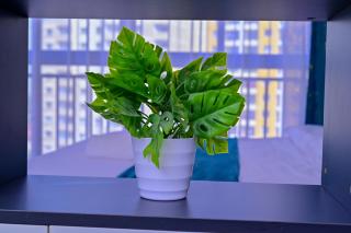 Alina Ridge apts - 5
