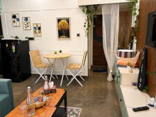 Couple Friendly Luxury 1BHK with Lift and Fast Wifi - 7