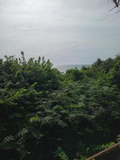Black Forest Beach Resort - 6