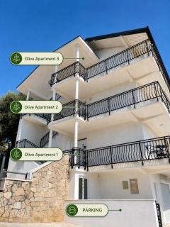 Olive Tree Apartments - 1