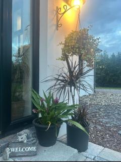 Carnuff Tiny home - 1