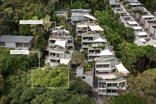 Hastings Park: Elegant Noosa Gem by the Beach - 6