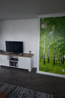 Ferienwohnung Birkenweg Elbers - 9
