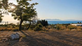 Kalamaki Rural Cottage - Among the Olive Trees - 6