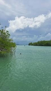 Big hug home-Baan Rim Klong - 7
